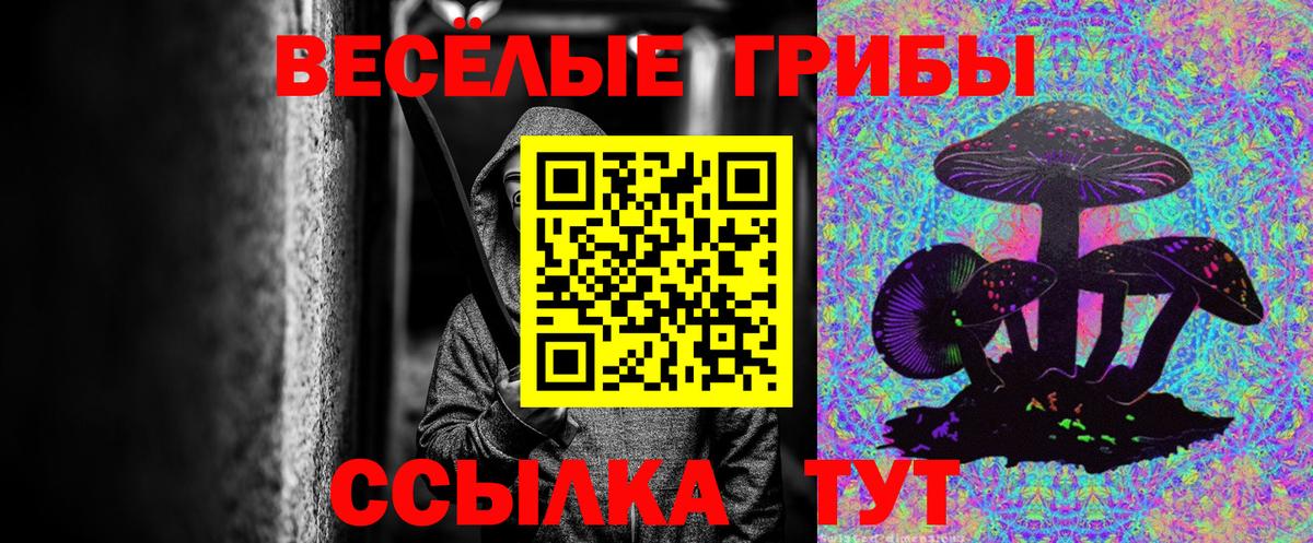 где купить наркотик  Вход с VPN  Новоуральск  Галлюциногенные грибы Psilocybe 